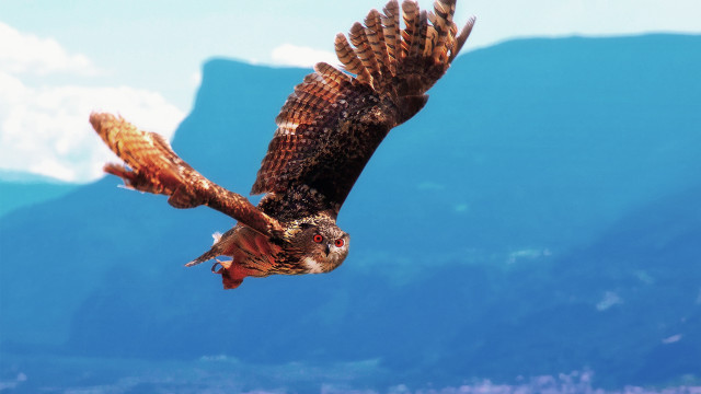 Bird mountain clouds blue sky free wallpaper for desktop - medium preview image