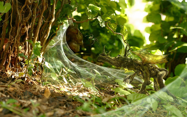 Spider web forest leaves overgrown free wallpaper for desktop - medium preview image
