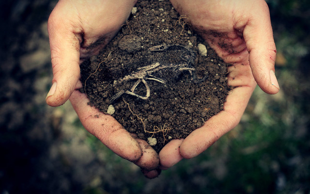 Dirt hands ecological art roots free wallpaper for desktop - medium preview image