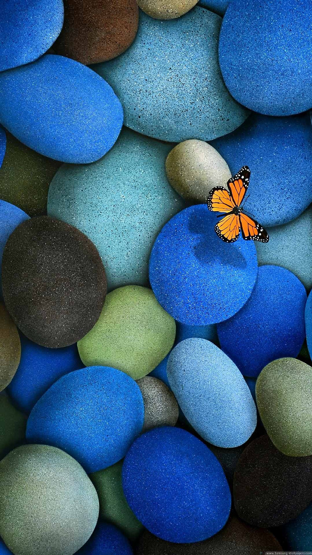 Butterfly sitting rock blue green #4 free wallpaper for mobile - medium preview image