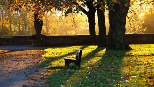 Park bench autumn leaves fire free wallpaper for desktop - medium preview image