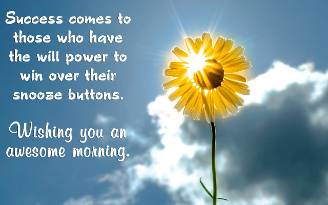 Yellow flower sky background quote free wallpaper for desktop - medium preview image