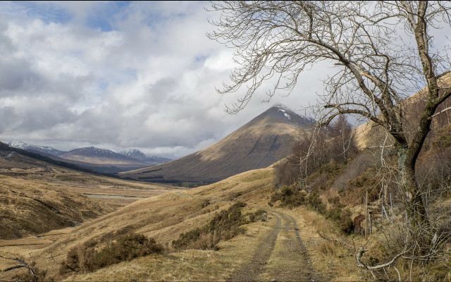 Dirt road valley mountain tree free wallpaper for desktop - medium preview image