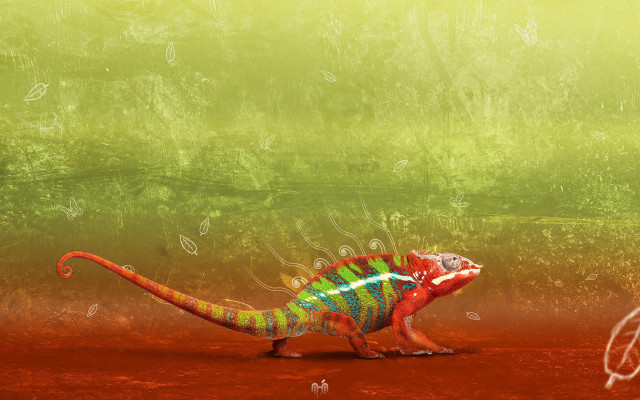 Colorful lizard red surface green free wallpaper for desktop - medium preview image
