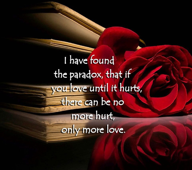 Red rose table book quote free wallpaper for tablet - medium preview image