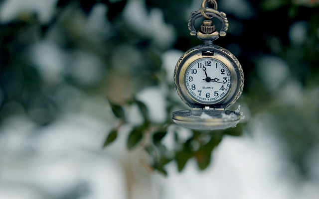 Small clock tree branch snow free wallpaper for desktop - medium preview image