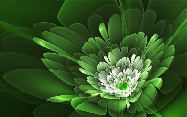 Green flower white center digital free wallpaper for desktop - medium preview image