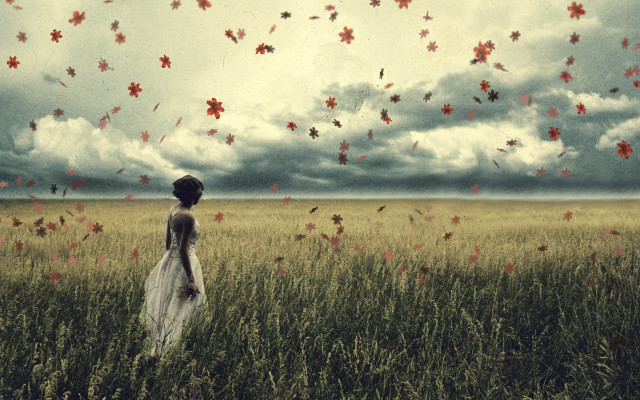 Woman field clouds leaves beach free wallpaper for desktop - medium preview image