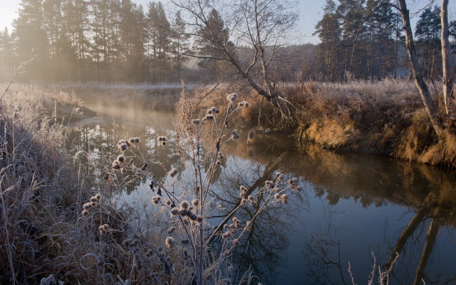 River trees grass foggy sky free wallpaper for desktop - medium preview image