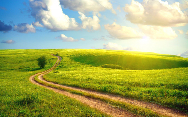 Dirt road green field blue free wallpaper for desktop - medium preview image