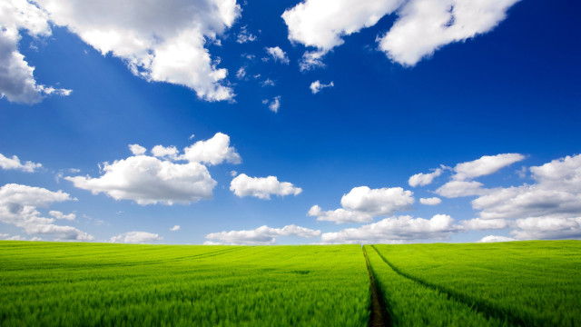 Green field sky clouds background #3 free wallpaper for desktop - medium preview image