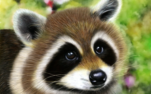 Raccoon blurry floral background digital free wallpaper for desktop - medium preview image