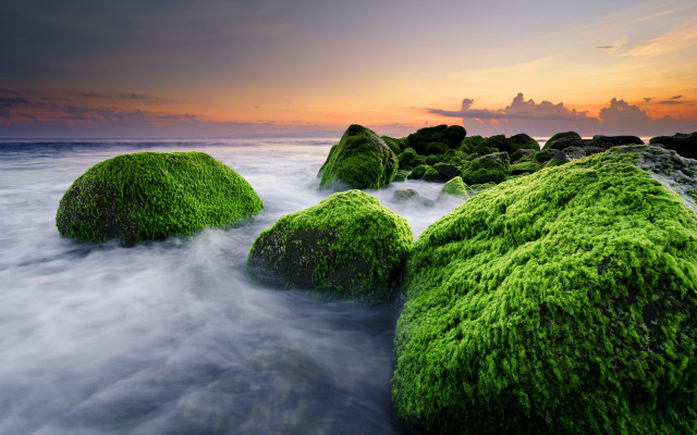 Mossy rocks ocean sunset cloudy free wallpaper for desktop - medium preview image