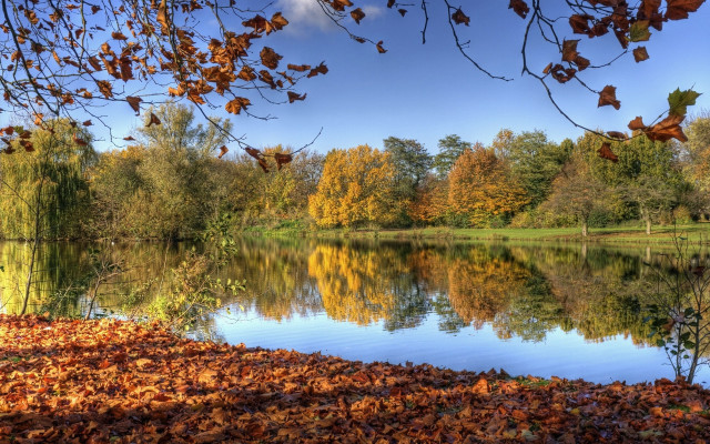 Lake leaves trees blue sky free wallpaper for desktop - medium preview image