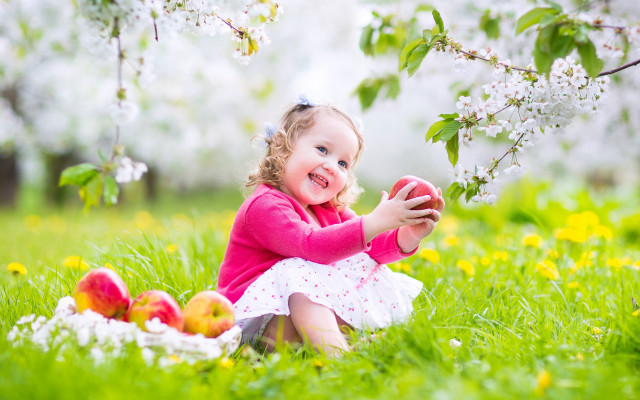 Little girl sitting grass apples free wallpaper for desktop - medium preview image