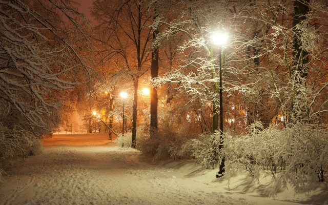 Snowy path street light moonlit free wallpaper for desktop - medium preview image