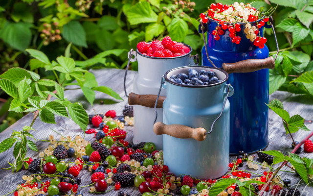 Berries table leaves blue bucket free wallpaper for desktop - medium preview image