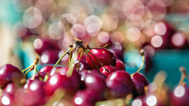 Cherry bowl water drops precisionism free wallpaper for desktop - medium preview image