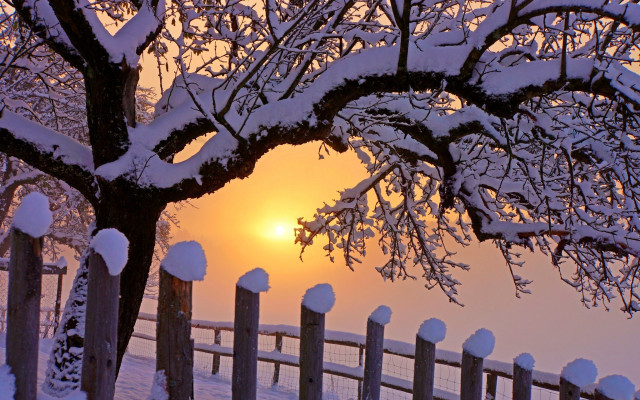 Fence snow tree sunset autumn free wallpaper for desktop - medium preview image