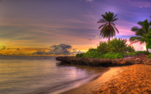 Beach palm trees sunset mountain free wallpaper for desktop - medium preview image