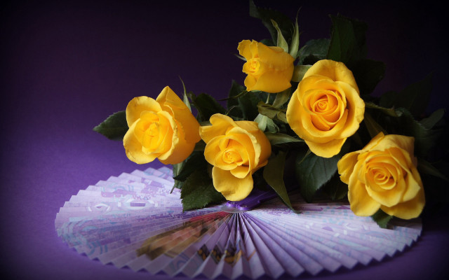 Yellow roses purple table fan free wallpaper for desktop - medium preview image