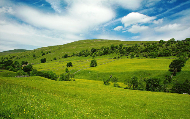 Lush green hillside blue sky free wallpaper for desktop - medium preview image