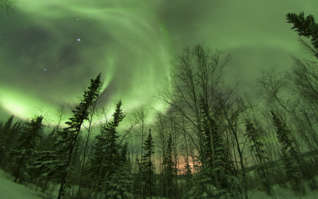 Aurora boreal forest snow stars free wallpaper for desktop - medium preview image