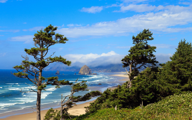 Beach trees mountain clouds ocean free wallpaper for desktop - medium preview image