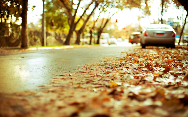 Autumn leaves street car blurry free wallpaper for desktop - medium preview image