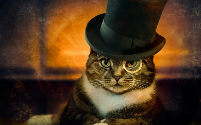 Cat top hat glasses steampunk free wallpaper for desktop - medium preview image