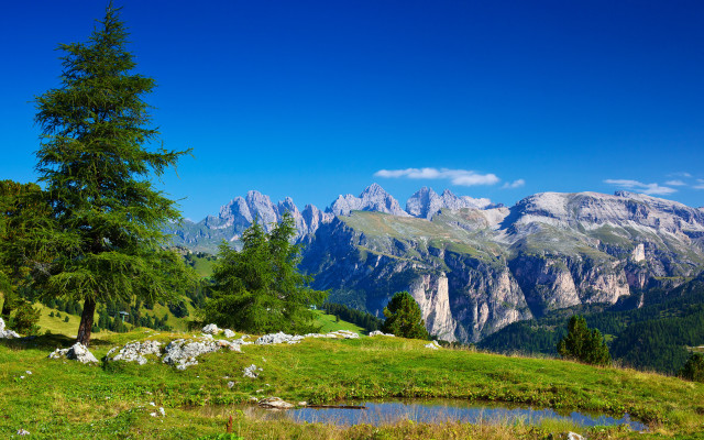 Mountain range pond trees landscape free wallpaper for desktop - medium preview image
