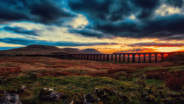 Train green field cloudy sunset free wallpaper for desktop - medium preview image