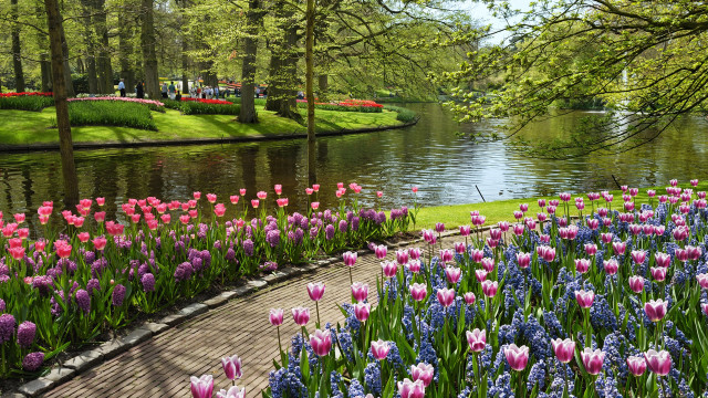 Park pond flowers people trees free wallpaper for desktop - medium preview image