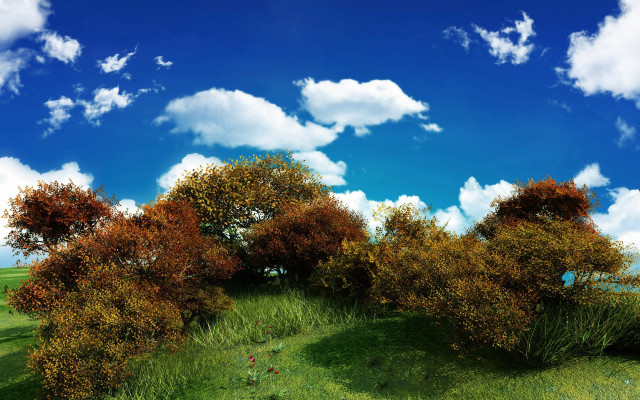 Grassy field trees blue sky free wallpaper for desktop - medium preview image
