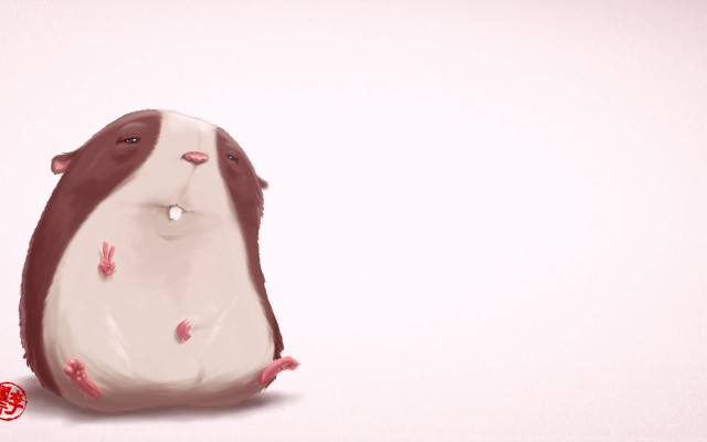 Guinea pig back tongue chinese free wallpaper for desktop - medium preview image