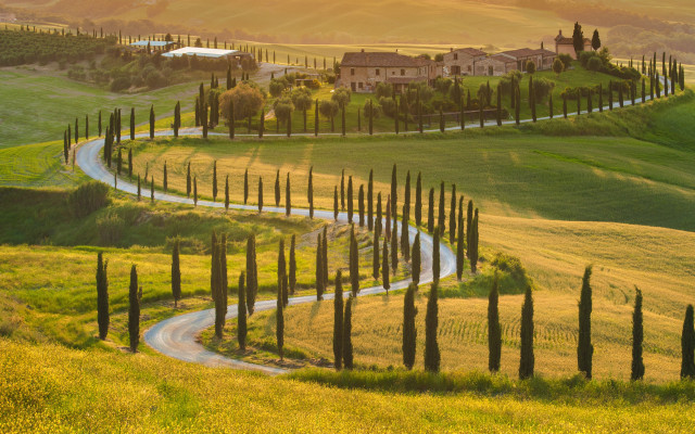 Winding road green field house free wallpaper for desktop - medium preview image
