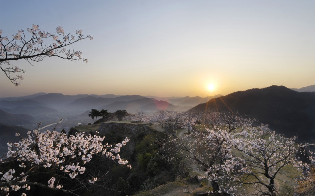 Sunset mountain blooming tree valley free wallpaper for desktop - medium preview image