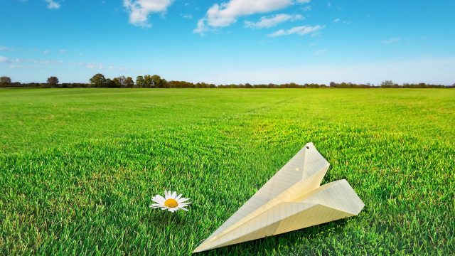 Paper airplane flower daisy grass free wallpaper for desktop - medium preview image