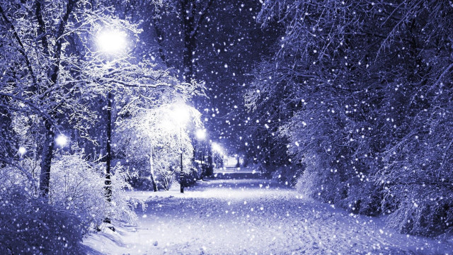 Snowy path street lights trees free wallpaper for desktop - medium preview image