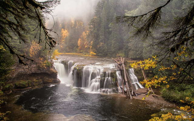 Waterfall forest fog autumn nature free wallpaper for desktop - medium preview image