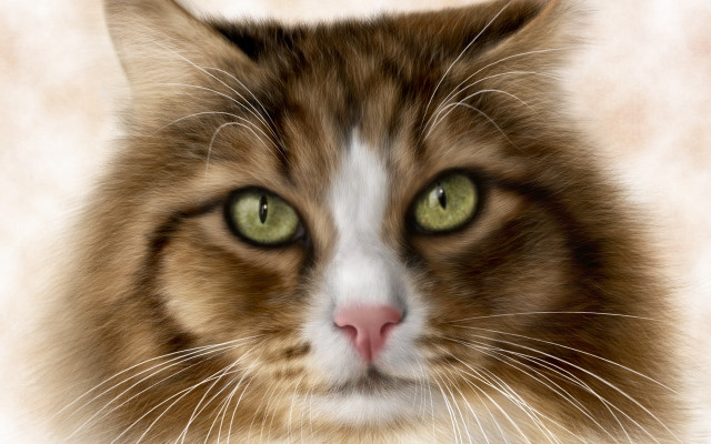 Cat closeup greeneyes whitefurry digitalpainting free wallpaper for desktop - medium preview image