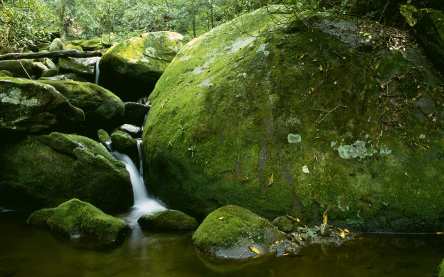 Forest stream mossy rocks green free wallpaper for desktop - medium preview image