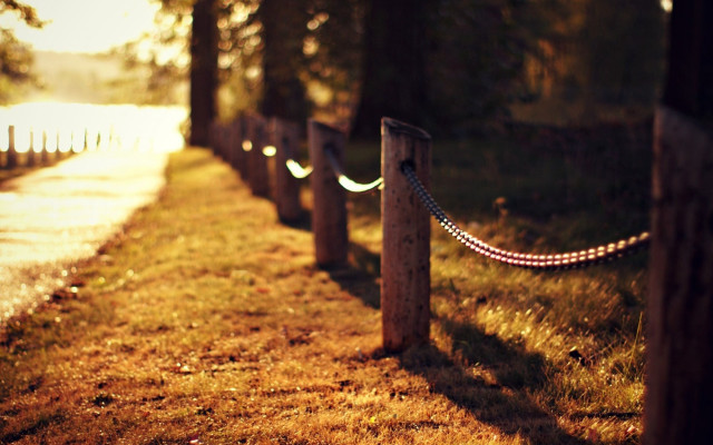 Wooden posts rope grassy path free wallpaper for desktop - medium preview image