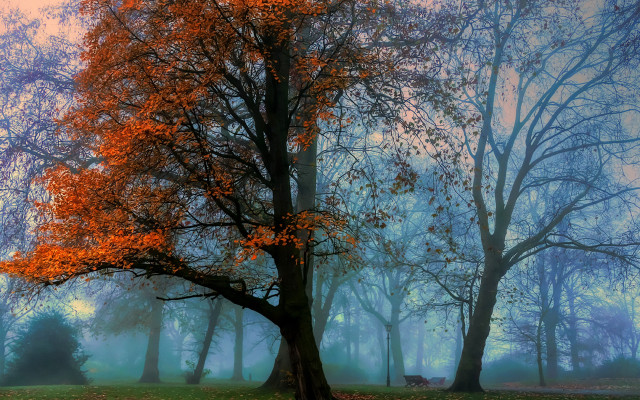 Mystical autumn park bench fog free wallpaper for desktop - medium preview image
