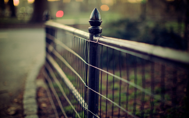 Fence post street tree shallow free wallpaper for desktop - medium preview image