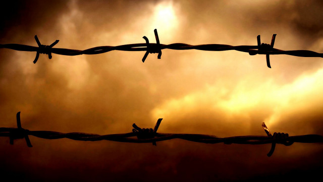 Barbed wire bird cloudy sky free wallpaper for desktop - medium preview image
