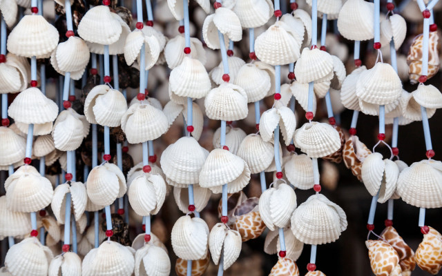 Shells beads ribbon ecological art free wallpaper for desktop - medium preview image