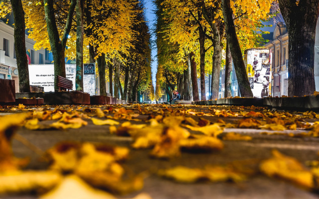 Yellow leaves street autumn city free wallpaper for desktop - medium preview image