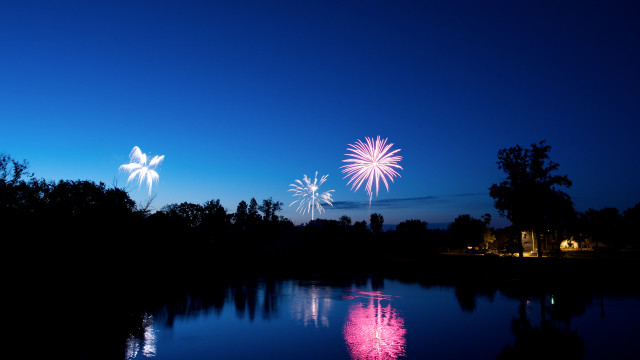 Fireworks lake night sky trees free wallpaper for desktop - medium preview image