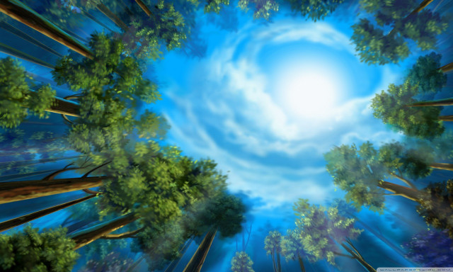 Blue sky trees woods sun free wallpaper for desktop - medium preview image